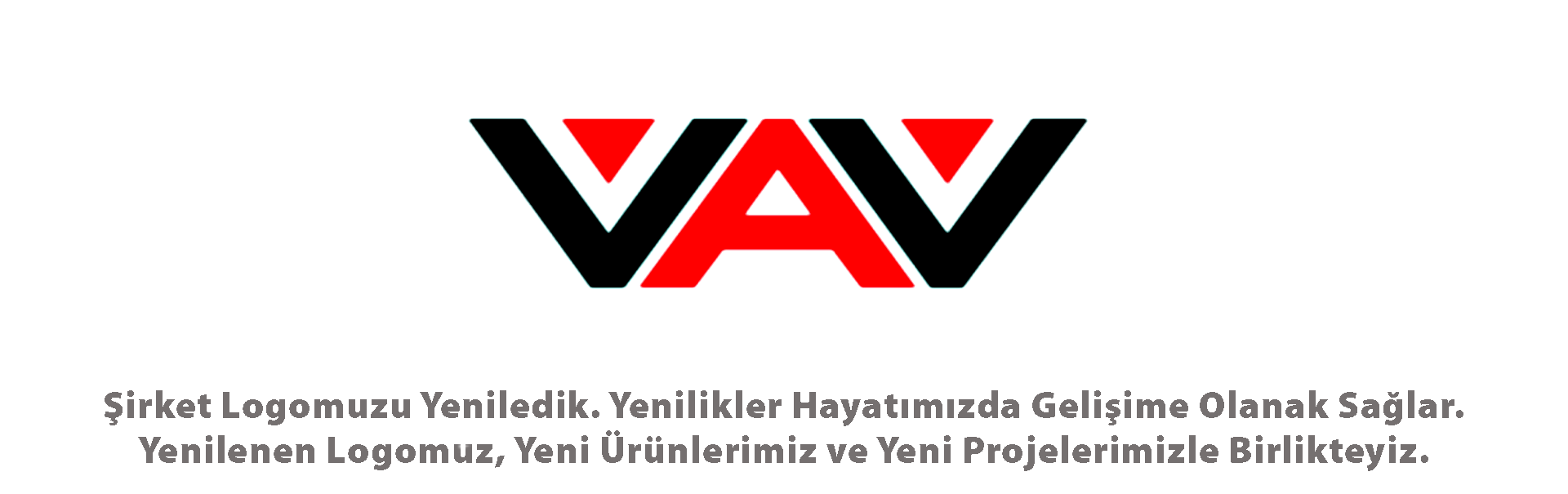 VAV Boya Logo